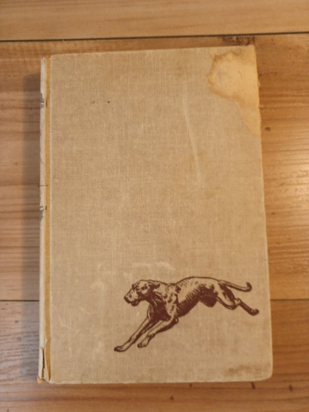 1946 David Grew The Wild Dog Of Edmonton Famous Dog Stories Book